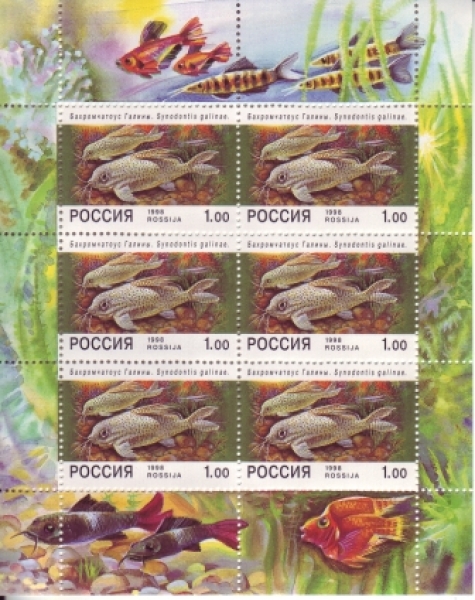 RUS 0648 KLBG ** - 1998